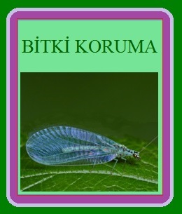 Bitki Koruma