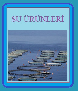 Su Ürünleri