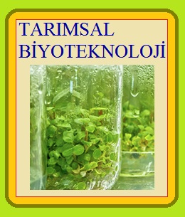 Tarımsal Biyoteknoloji