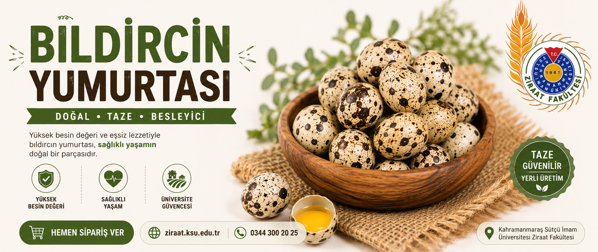 Bıldırcın Yumurtası